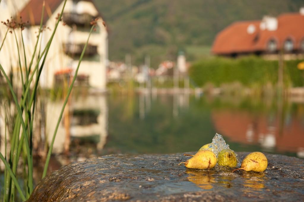 Romantikhotel Residenz Wachau Aggsbach Екстер'єр фото